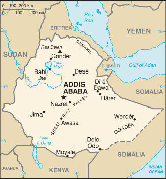 ETHIOPIAN SIDAMO WASHED PROCESS COFFEE